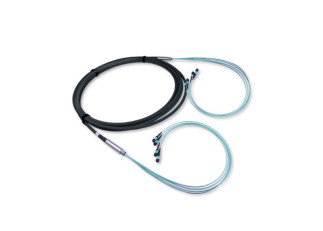 Câbles pieuvres MPO